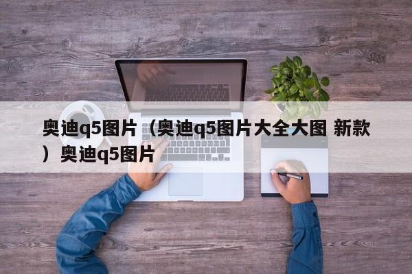 奥迪q5图片（奥迪q5图片大全大图 新款）奥迪q5图片