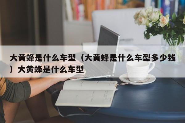 大黄蜂是什么车型（大黄蜂是什么车型多少钱）大黄蜂是什么车型