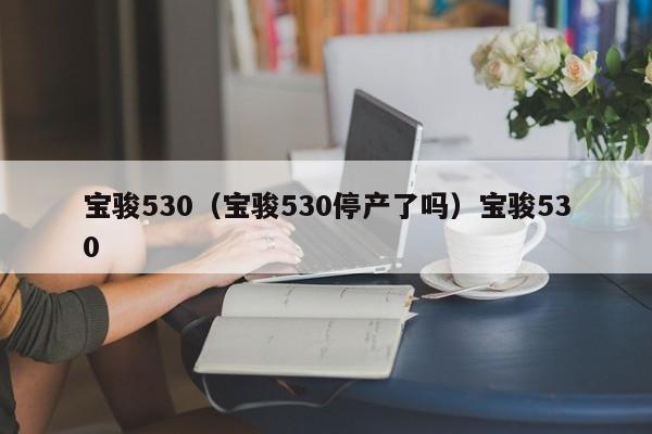 宝骏530（宝骏530停产了吗）宝骏530