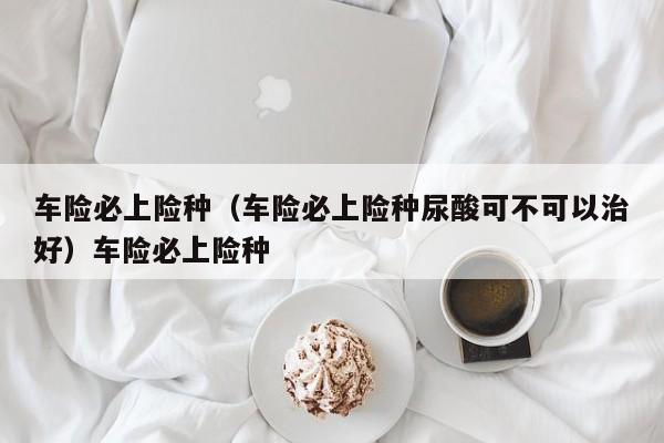 车险必上险种（车险必上险种尿酸可不可以治好）车险必上险种