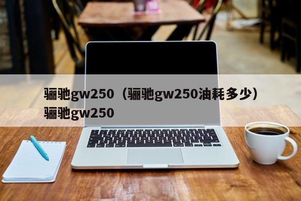 骊驰gw250（骊驰gw250油耗多少）骊驰gw250