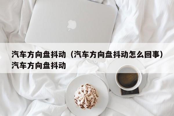 汽车方向盘抖动（汽车方向盘抖动怎么回事）汽车方向盘抖动