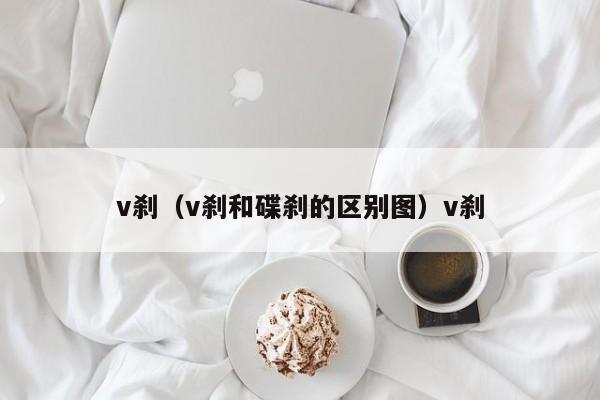 v刹（v刹和碟刹的区别图）v刹