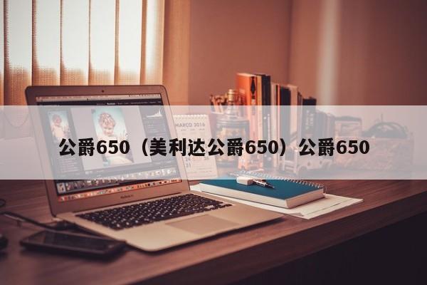 公爵650（美利达公爵650）公爵650