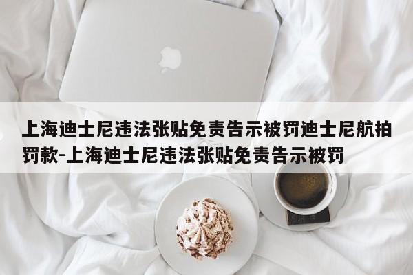 上海迪士尼违法张贴免责告示被罚迪士尼航拍罚款-上海迪士尼违法张贴免责告示被罚