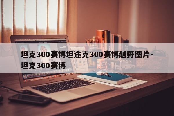 坦克300赛博坦途克300赛博越野图片-坦克300赛博