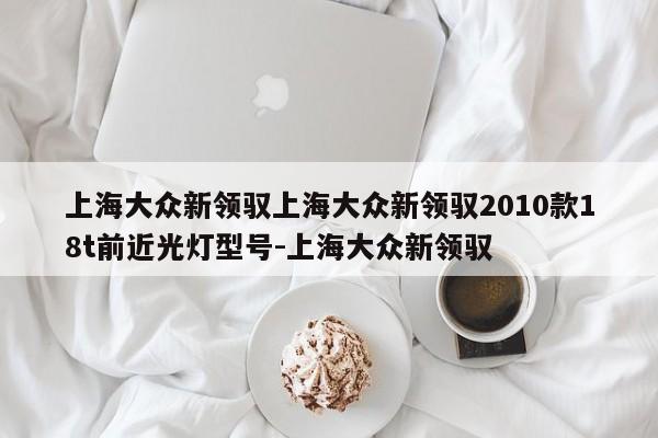 上海大众新领驭上海大众新领驭2010款18t前近光灯型号-上海大众新领驭